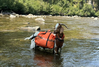 Tails from the Trails: The Elk Hunt